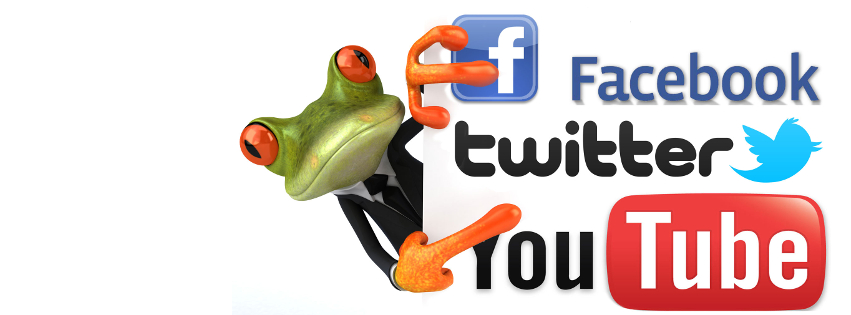 Social Media Frog Facebook Cover 