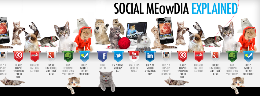 Social Meowdia Explained Facebook Cover 