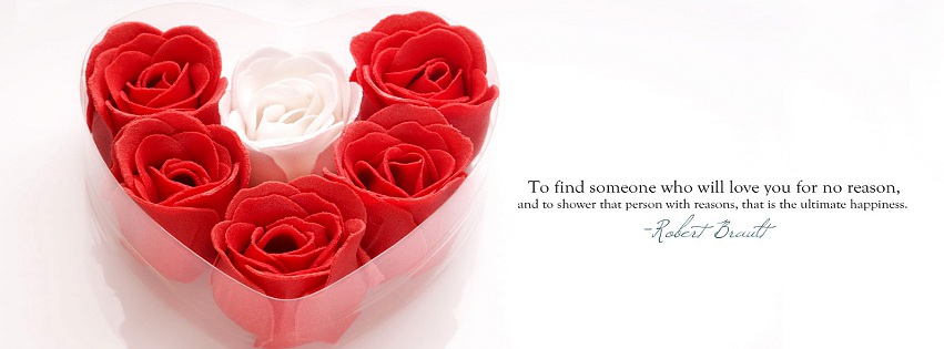 To Find Someone Love Quote Facebook Cover 